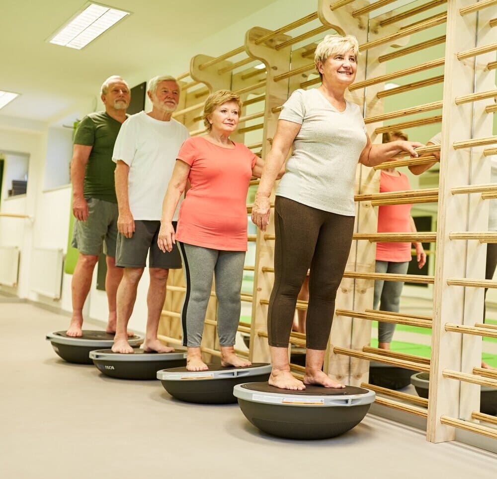 Fisioterapia geriátrica